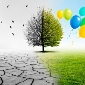 Arbre avec à gauche un arbre mort dans un fond gris et à droite arbre vert avec prairie et ballons